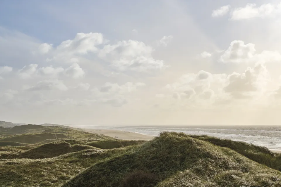 Gr�nh�j Strand ved Jammerbugten med klitter og udsigt over Vesterhavet